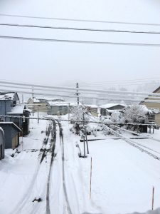 久しぶりの雪景色となりました