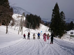 魚沼産メイプルに向けて